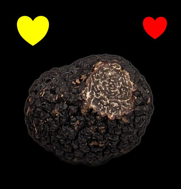 Truffe max maison aux mille truffes
