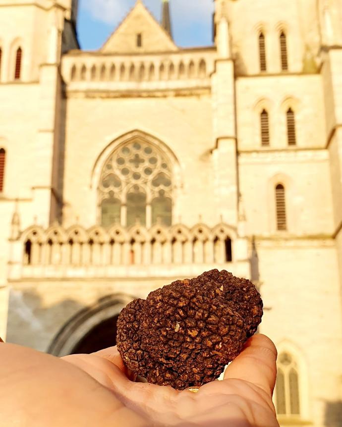Truffe en bourgogne maison aux mille truffes