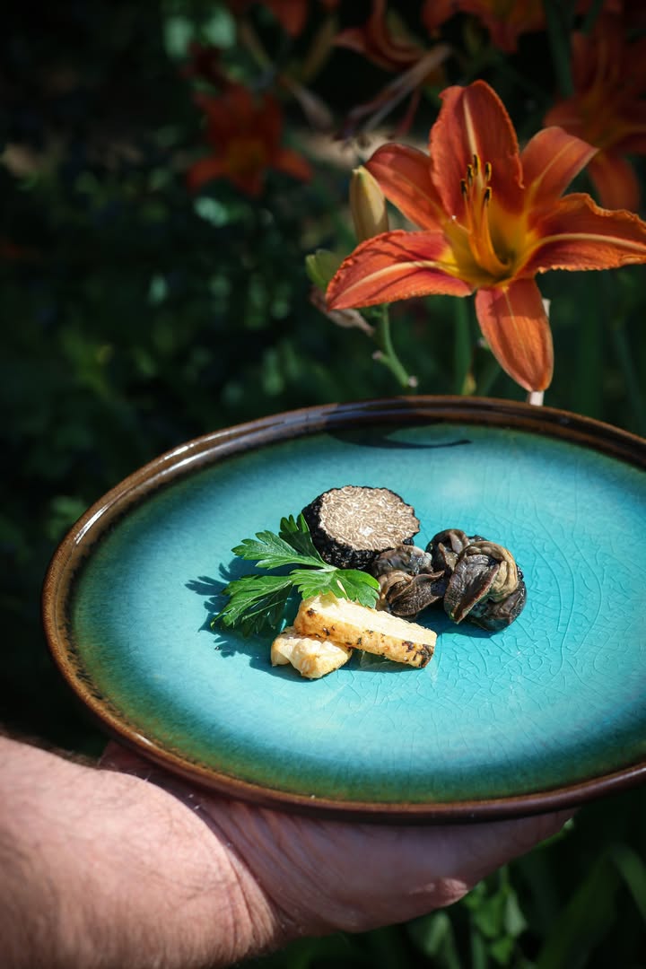 Escargots de Bourgogne et truffe : le terroir prend vie dans l’assiette