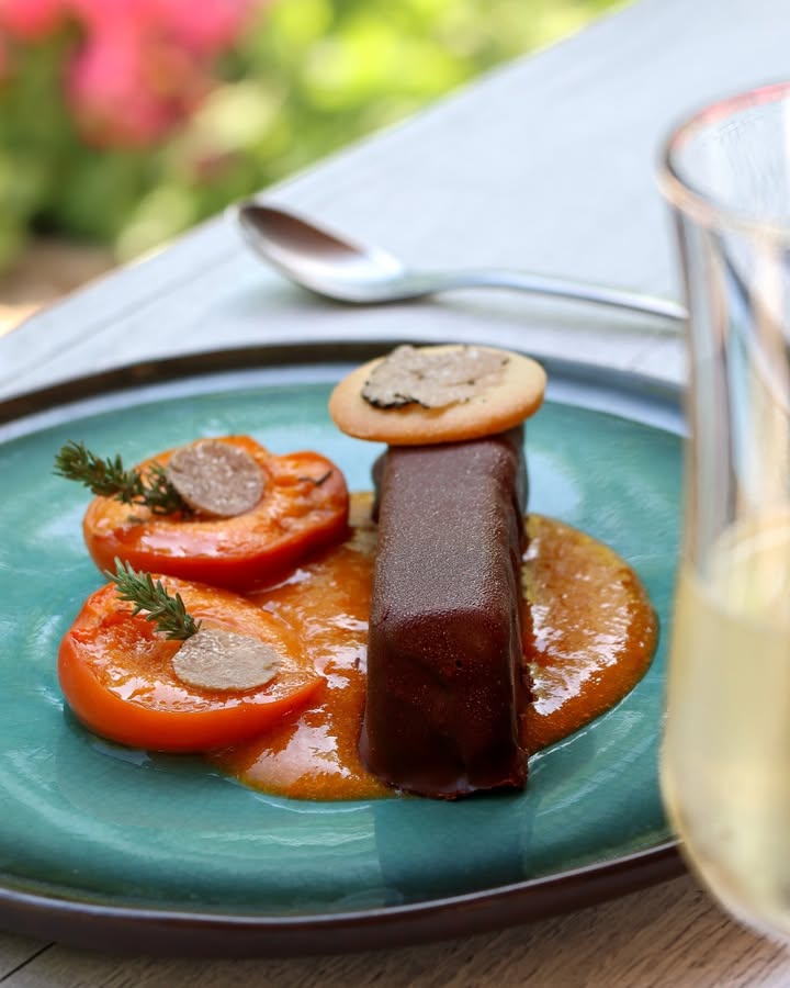 Barre glacée au chocolat, abricots rôtis et touche de truffe