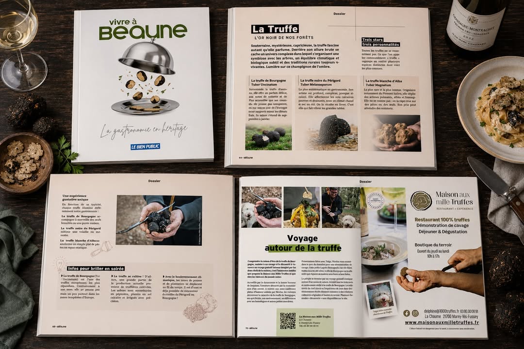 La truffe racontée dans Vivre à Beaune