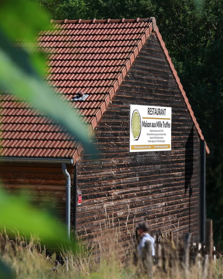 C’est une maison de bois Au beau milieu des vignes On y vient