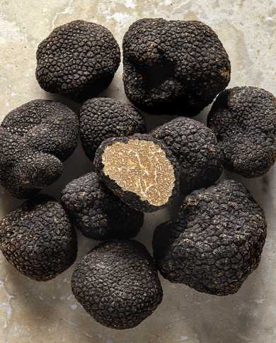 Truffes d'été fraîches entières