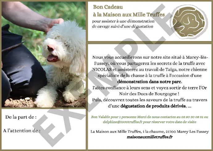 [KDODEGU] Bon Cadeau - Cavage et Dégustation pour une personne