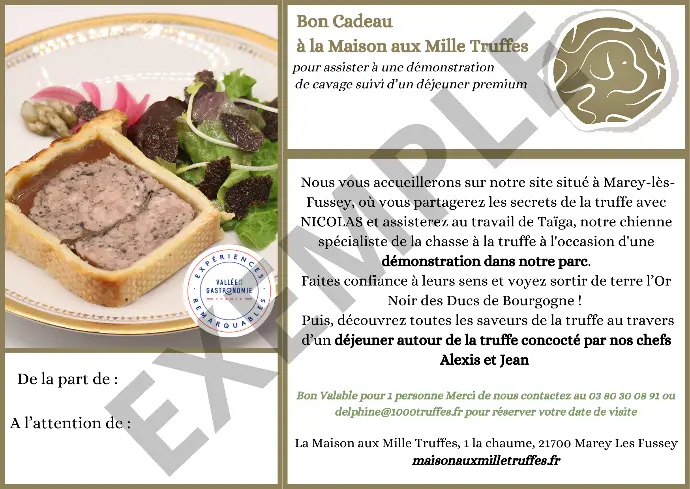 Bon Cadeau 1 Personne = Cavage et déjeuner PREMIUM  - Spécial Vallée de la Gastronomie