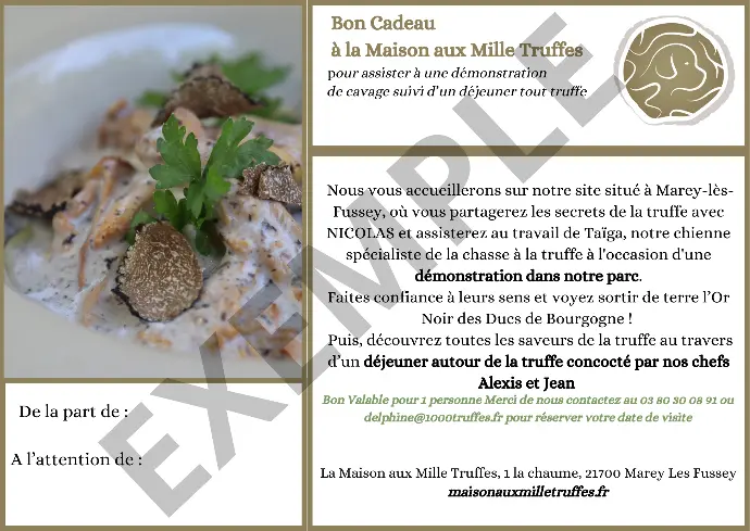 [KDODEJE] Bon Cadeau - Cavage et déjeuner pour une personne